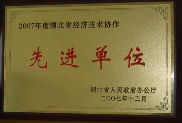 2007年被湖北省经协办评为湖北省先进单位.jpg