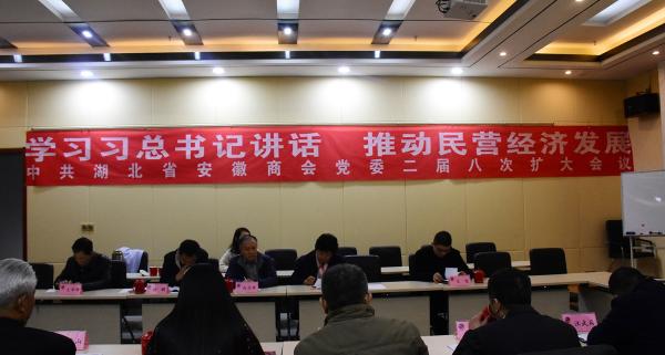 学习习总书记讲话 推动民营经济发展 中共湖北省安徽商会党委二届