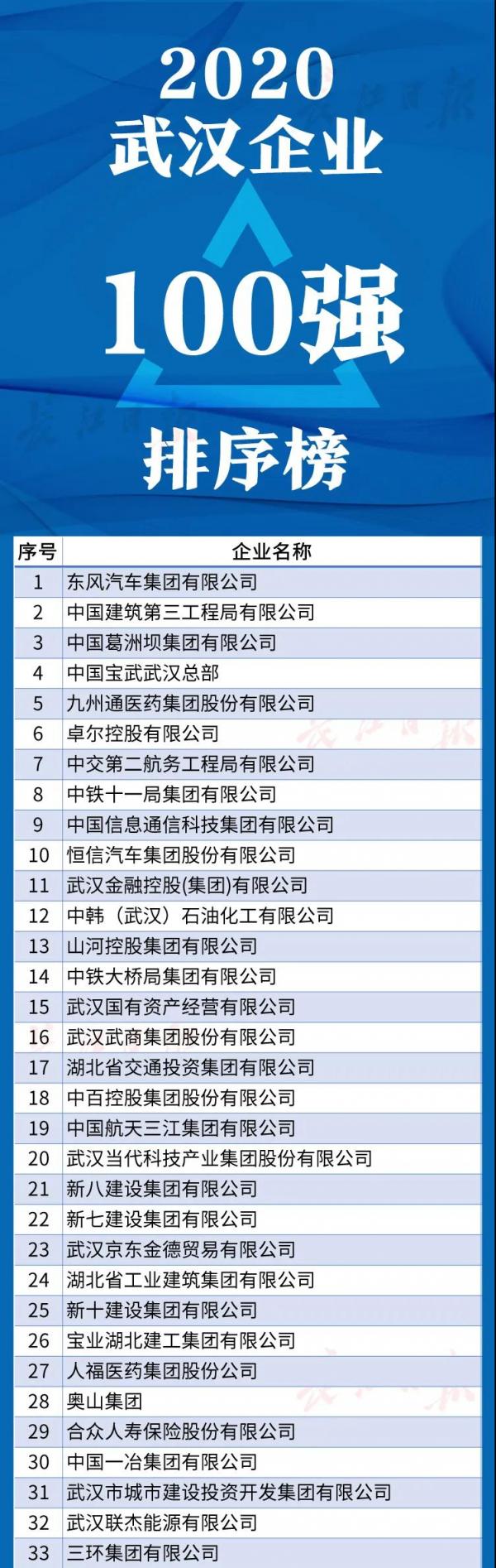 武汉100强1.jpg