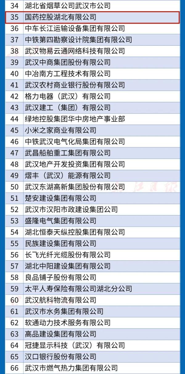武汉100强2_副本.jpg